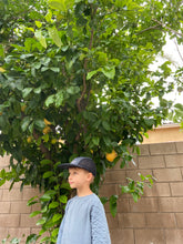 chainstitch denim & mesh / kid